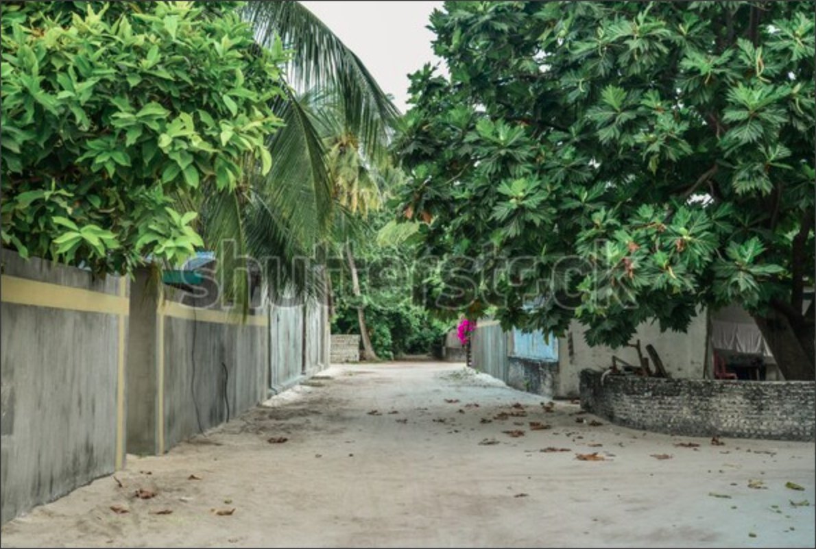 Snap 2020-09-18 at 01.51.48