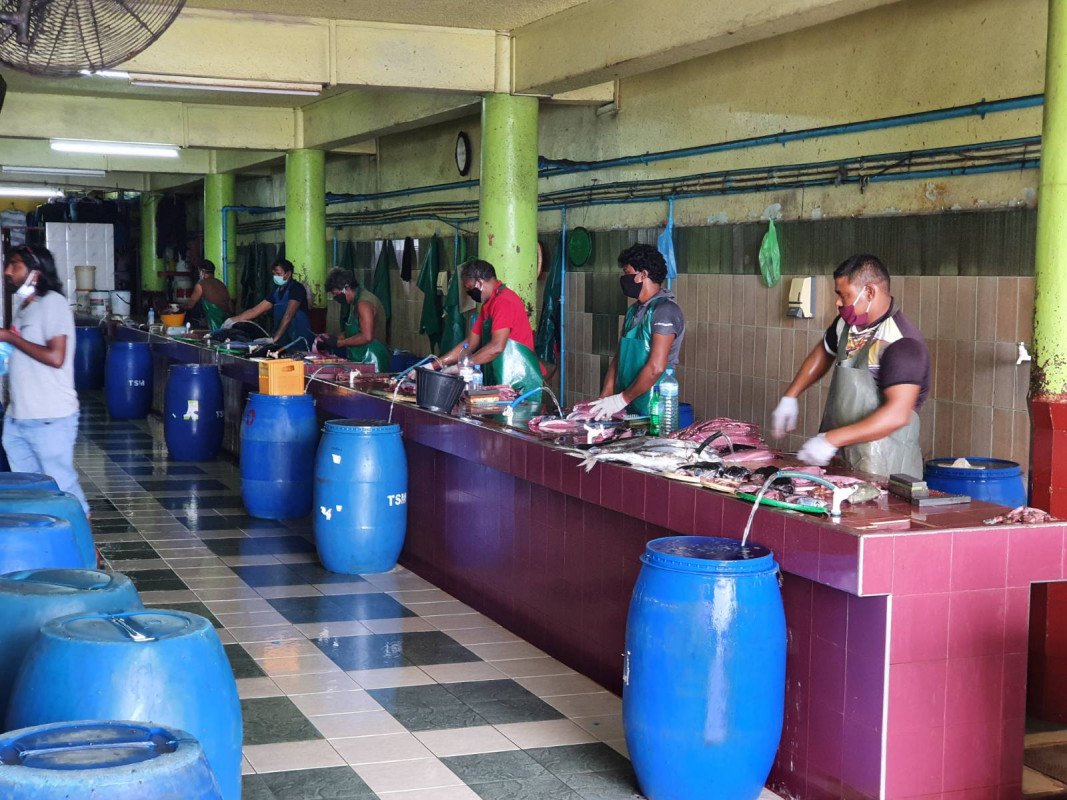 mZp59nF6VdTZC1kAp8X4