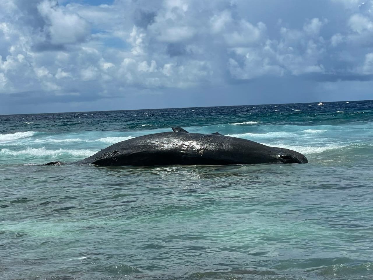 WhatsApp-Image-2021-11-13-at-11.39.53