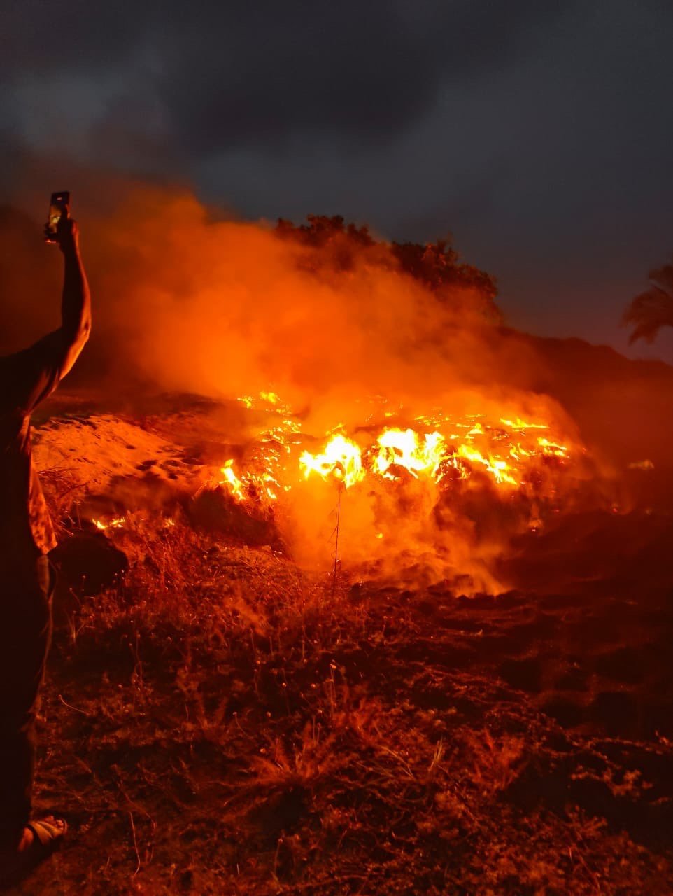 9C615218-4E56-4625-BD09-915FA0F99044