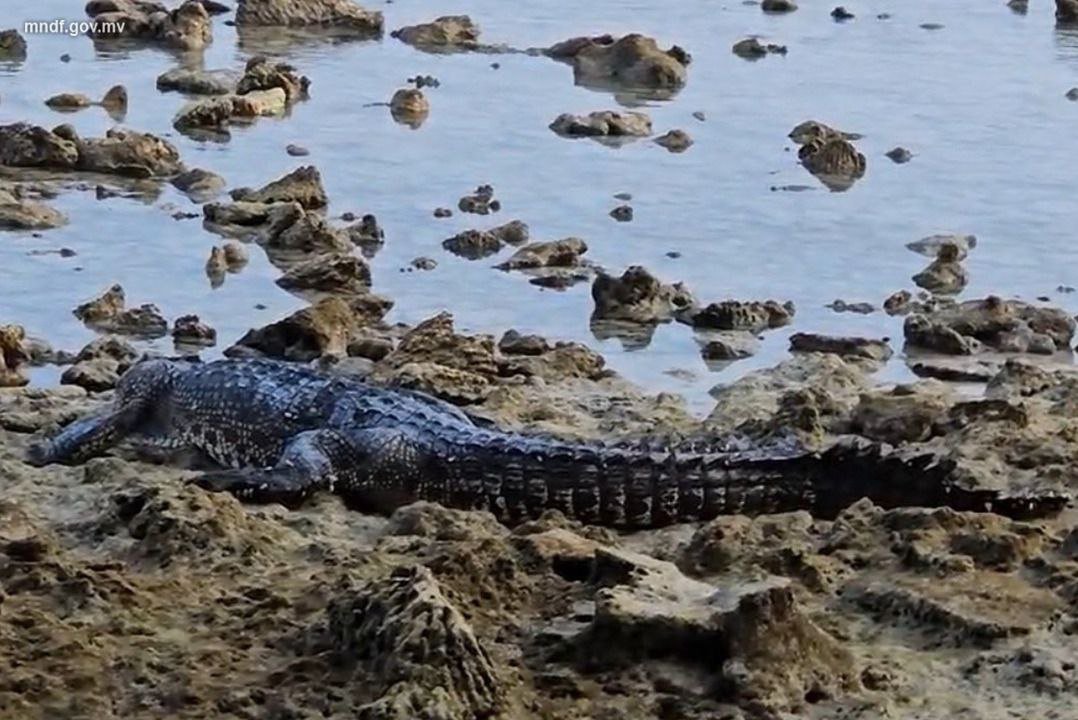 IMG_20240124_213835_831