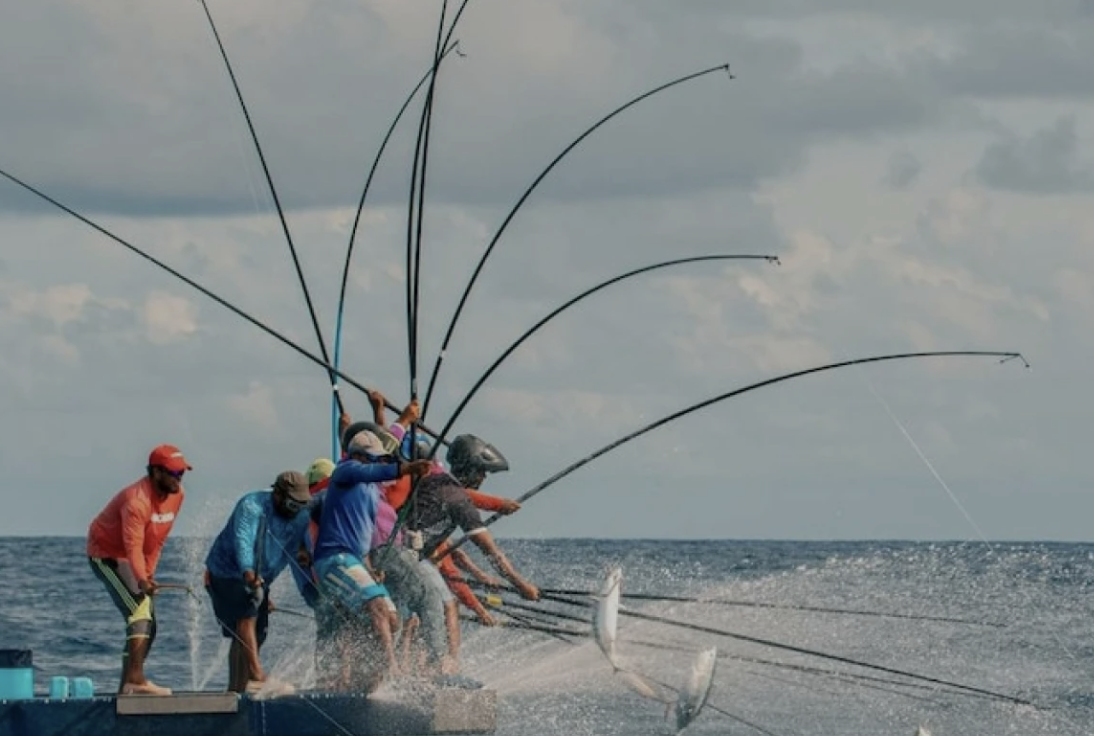 Screenshot 2024-06-13 at 13.41.31