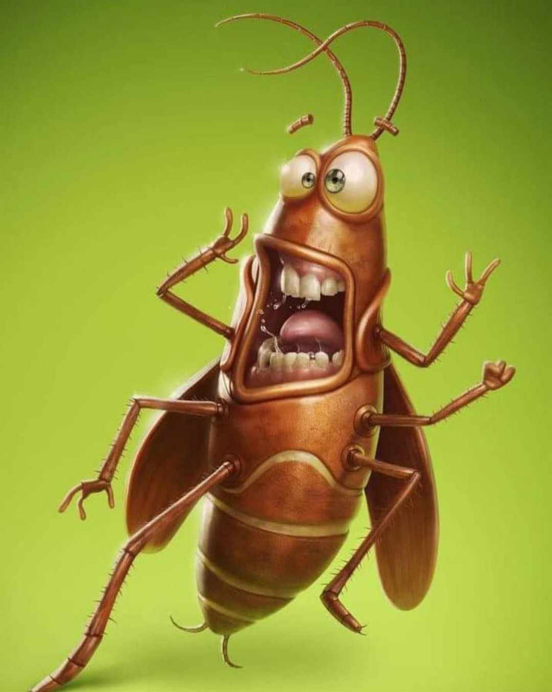 449538553_791690752791121_3941153311594033979_n