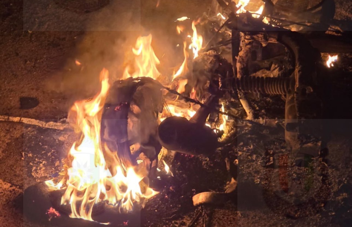 397521_3_c12231342446a7ac478b4615faf7d284ec59756a_large