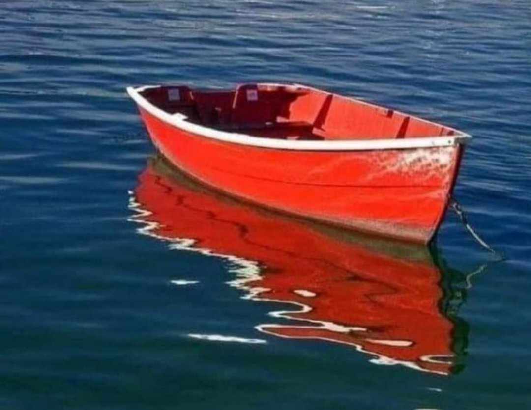 452668128_1577269799804543_4340249926877977107_n