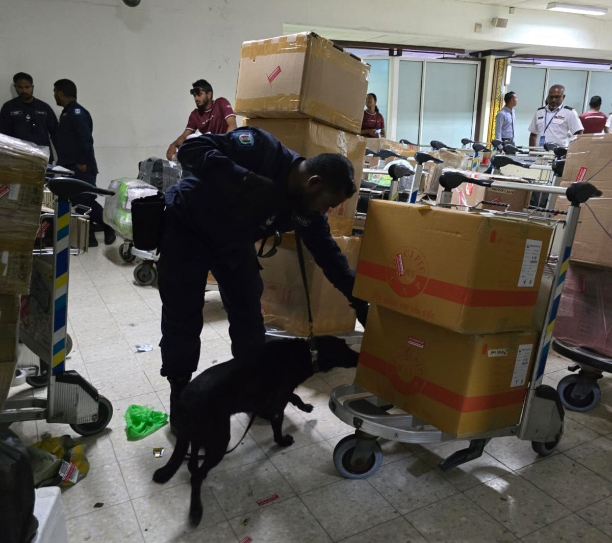 WhatsApp Image 2024-09-24 at 21.05.01