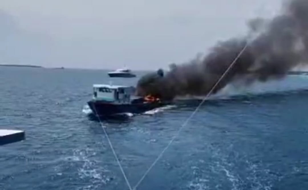 WhatsApp Image 2024-09-29 at 14.29.59