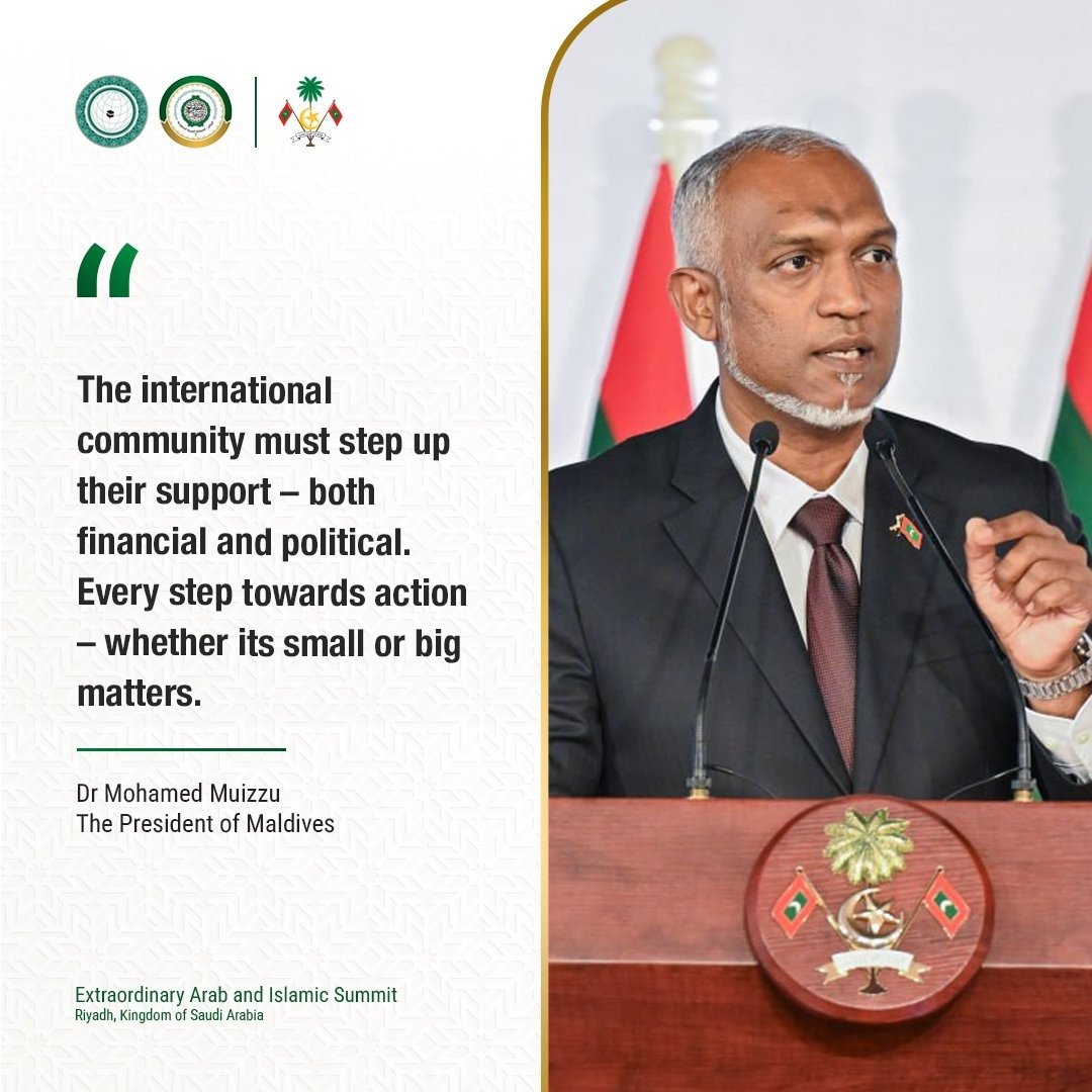 WhatsApp Image 2024-11-11 at 19.48.03