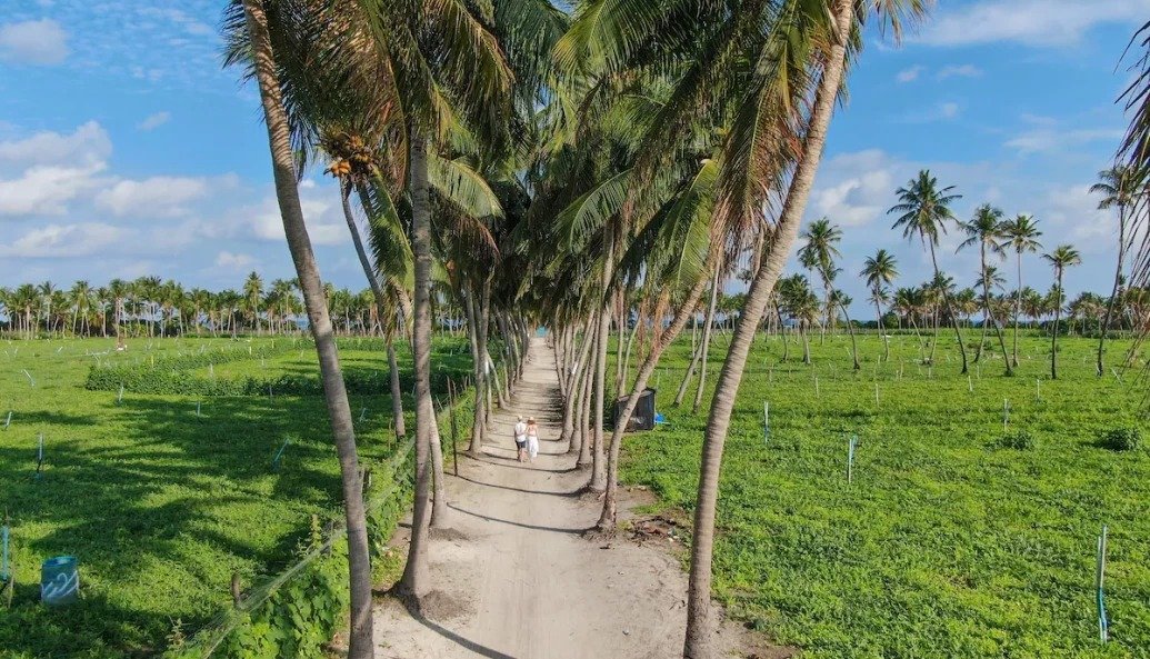 WhatsApp Image 2024-11-15 at 16.11.19 (1)