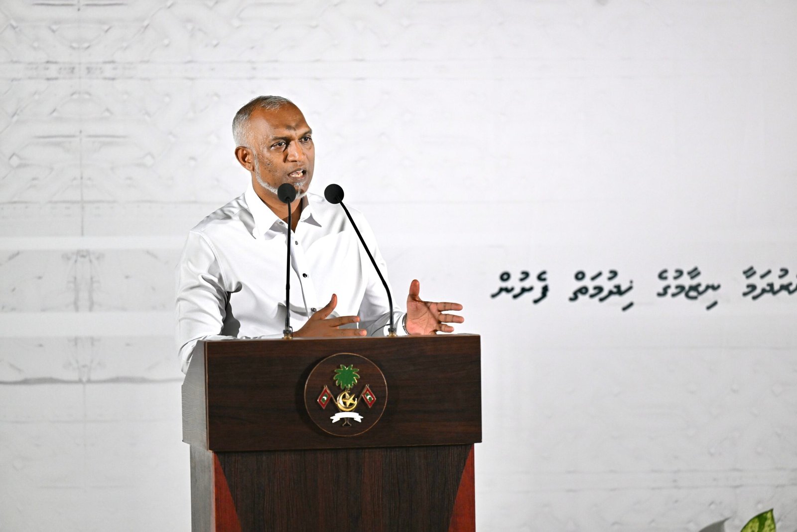 381379_19843c33-f_ (1)