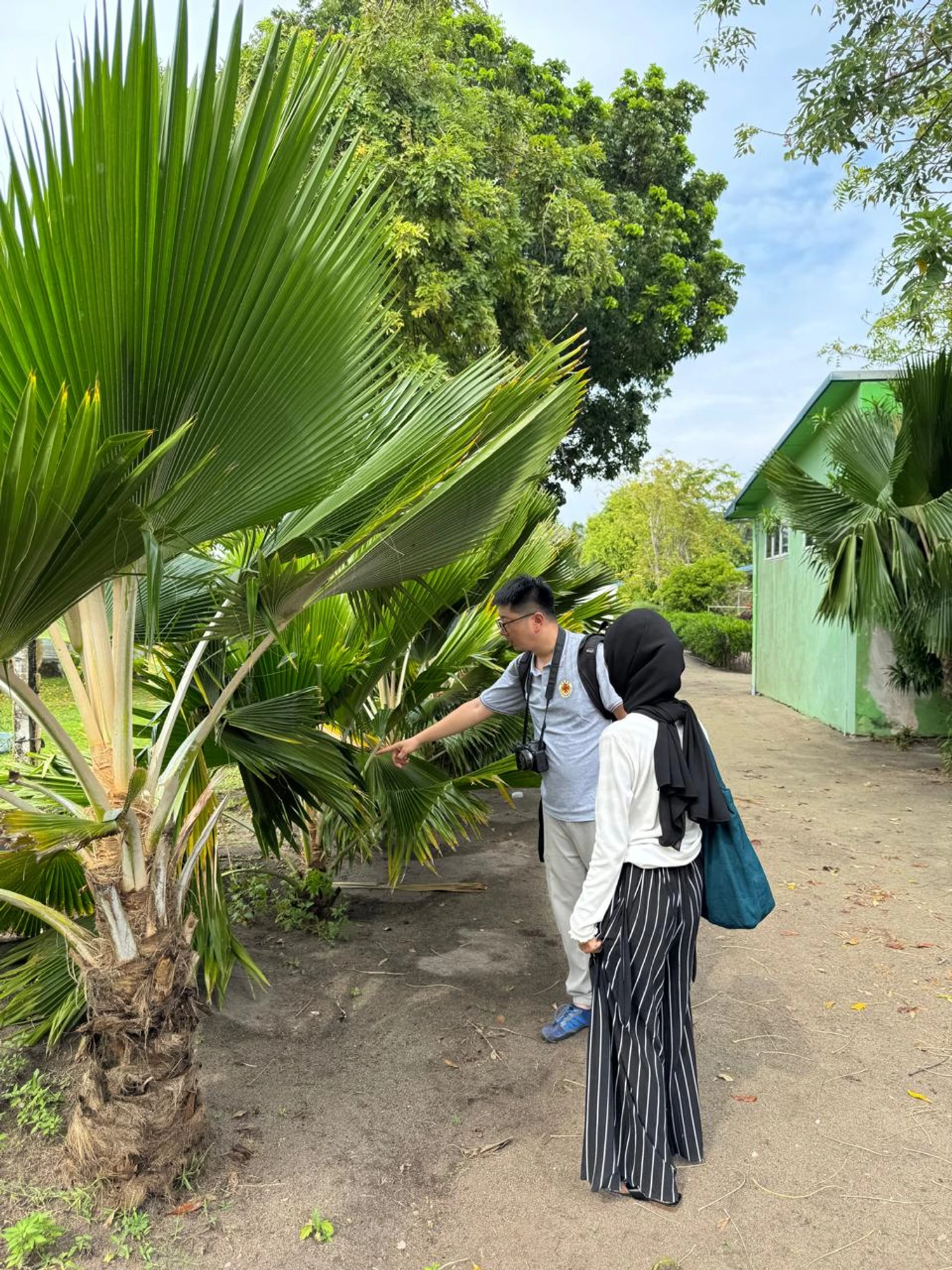 WhatsApp Image 2024-12-15 at 17.14.42_2c21695b-1734264825541