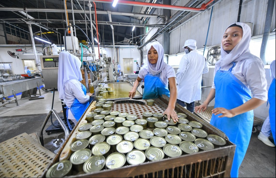 251207_3_b8466439e7e7ae9194fb33ed49e3d15c8d1e83fc_large