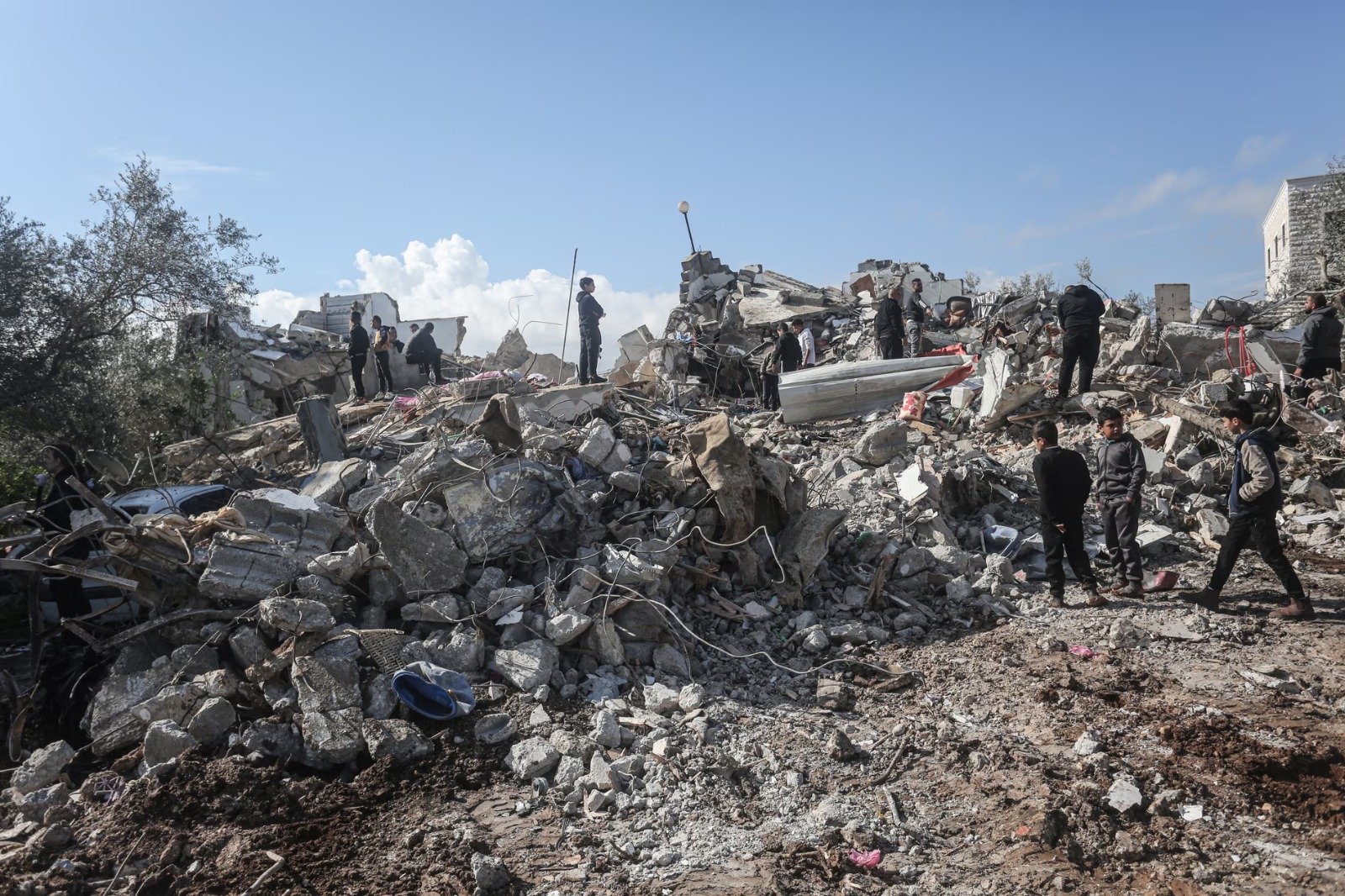 WhatsApp Image 2025-01-23 at 17.14.37