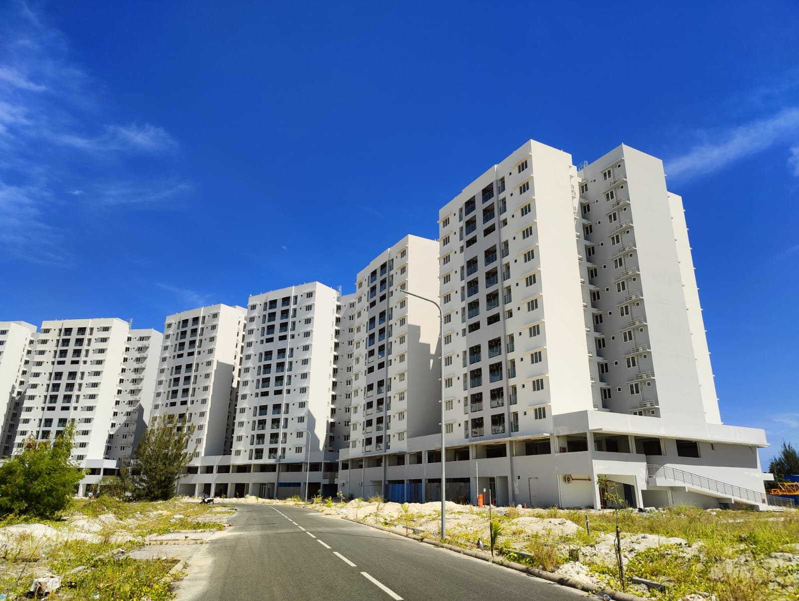 original_1691512848137