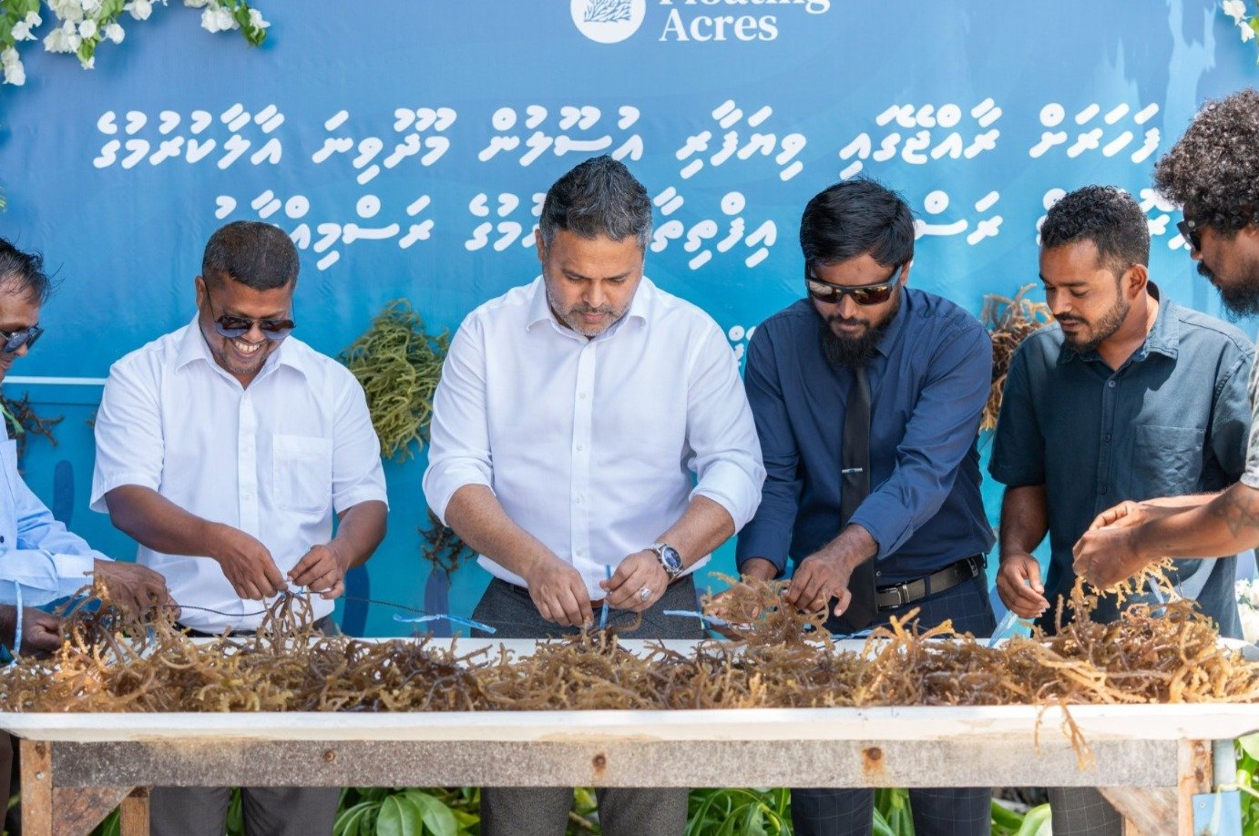 915632dc-c7e2-4c91-b186-360112a203cd