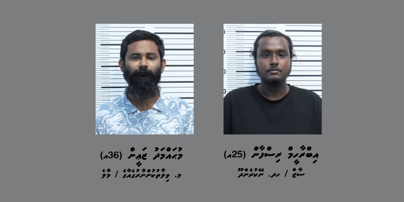 R_Isfan_and_Zaeen_fc9cbfe2e0