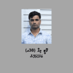 މަސްތުވާތަކެތީގެ ވިޔަފާރިކުރާކަމުގެ ތުހުމަތުގައި ހައްޔަރުކުރި ބިދޭސީއަކު ޑީޕޯޓުކުރަނީ