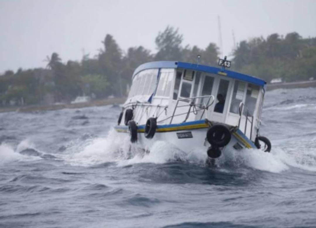 WhatsApp Image 2025-05-12 at 17.08.38