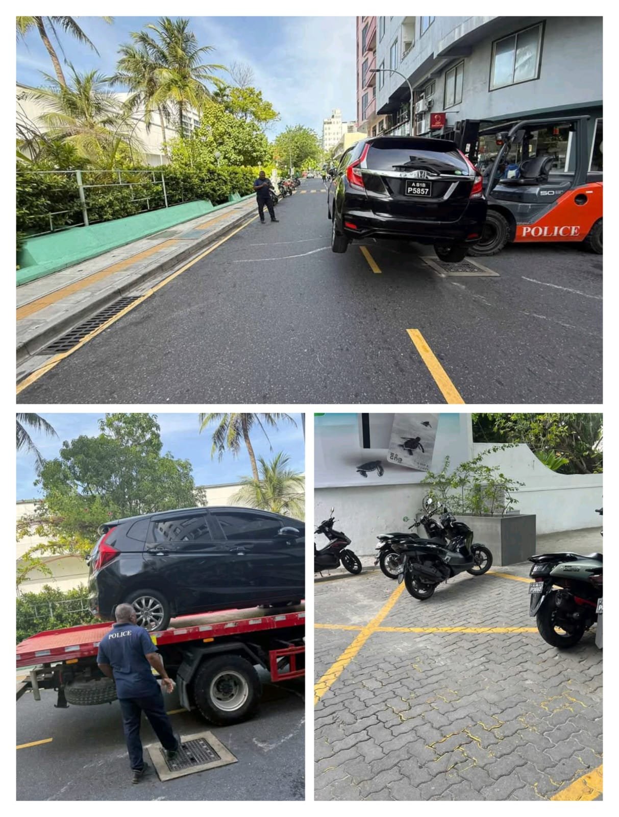 WhatsApp Image 2025-05-13 at 12.54.56