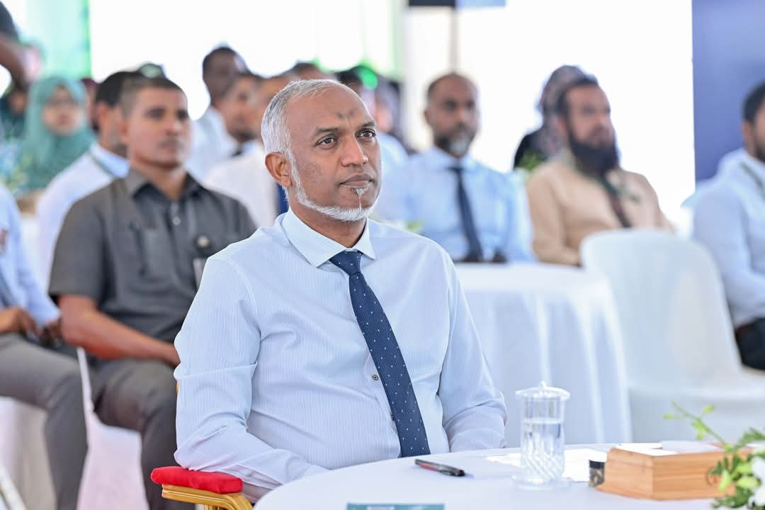 WhatsApp Image 2025-05-28 at 21.17.59