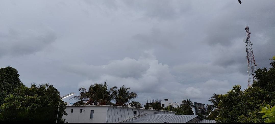 d9ae86cc-7aef-4ad1-9bb9-77c4e6f25d80