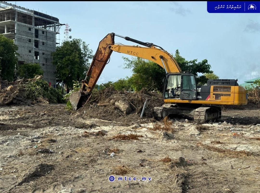 WhatsApp Image 2025-06-12 at 01.26.21