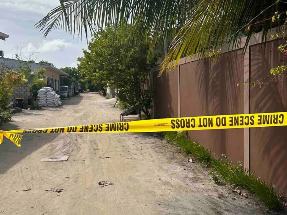 154fc9ae-ee54-4252-bbe9-b71c5630f1db