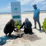 މ. އަތޮޅުގެ ތިން ރަށެއްގައި ގަސް އިންދުމުގެ ޙަރަކާތްތަކެއް ކުރިއަށް ގެންގޮސްފި