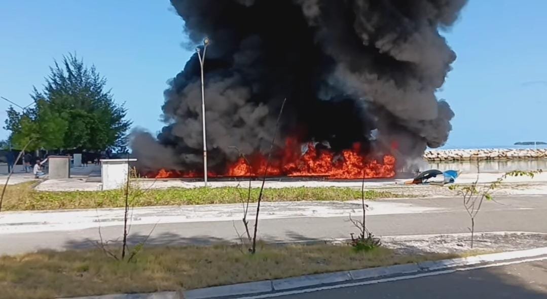 WhatsApp Image 2025-07-01 at 11.17.38