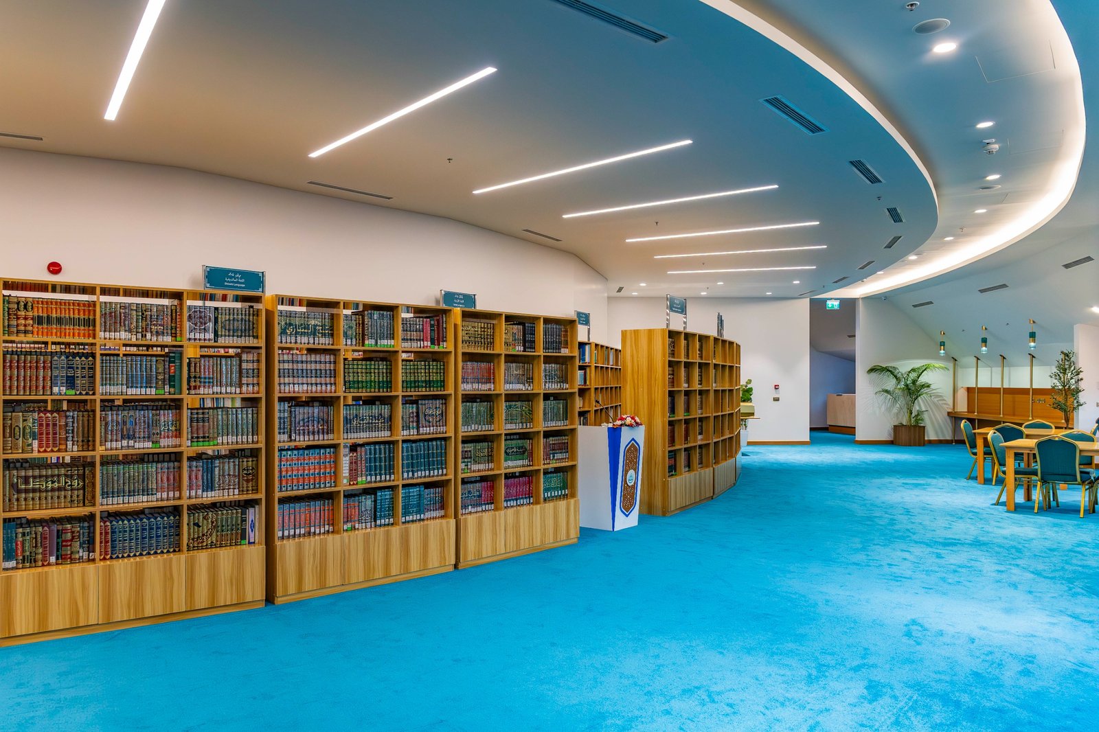 WhatsApp Image 2025-07-12 at 21.00.26