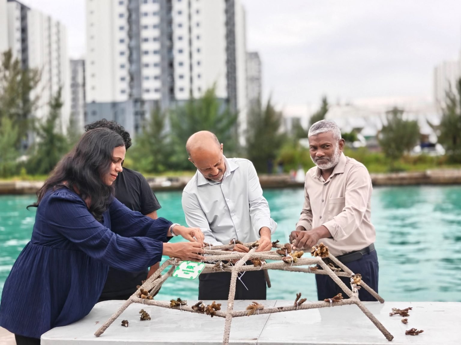 dac1e19fdab172471373087eece64bcb-1536x1152