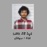 ރައީސުލްޖުމްހޫރިއްޔާ އަވަހާރަކޮށްލަން ޖެހޭކަމަށް ބުނި މީހަކު ހައްޔަރުކޮށްފި