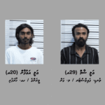 މަސްތުވާތަކެއްޗާއި ބަނގުރާ ގެންގުޅެ އޭގެ ވިޔަފާރިކުރި މައްސަލައެއްގައި ދެ މީހަކު ހައްޔަރުކޮށްފި