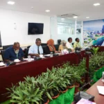 ދިވެހި ބޭސްވެރިކަމަށް ބޭނުންވާ ފަތްޕިލާވެލި މާލެ ސިޓީގައި އިންދާ އާލާކުރަނީ
