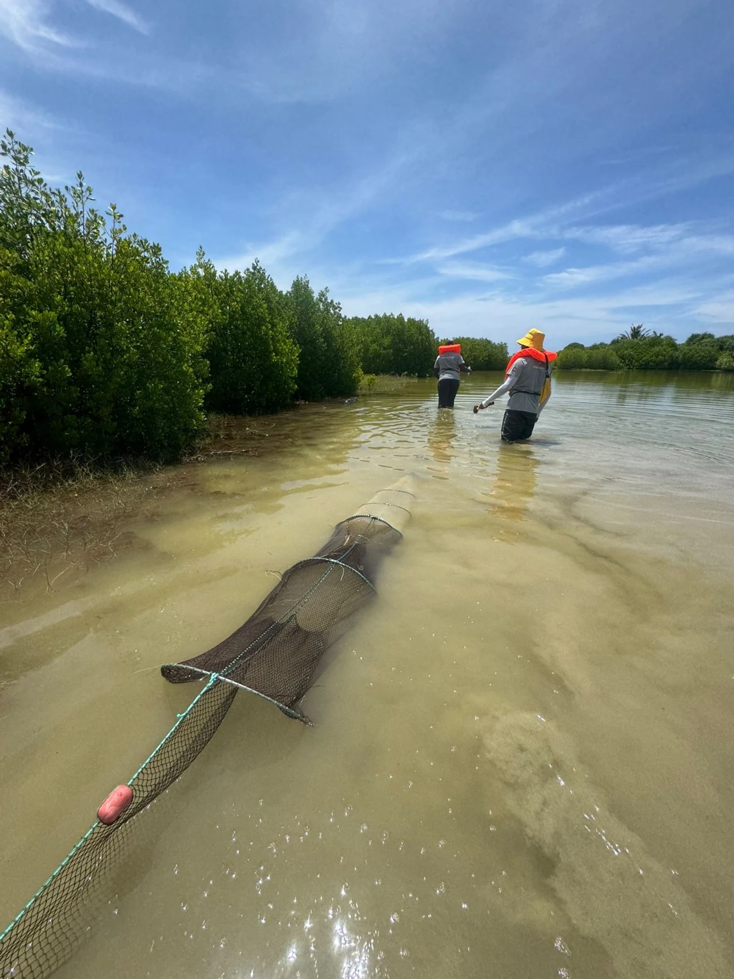 5bb1f3a5-5fda-4f56-bfcb-88ae5139057e-1761202081135