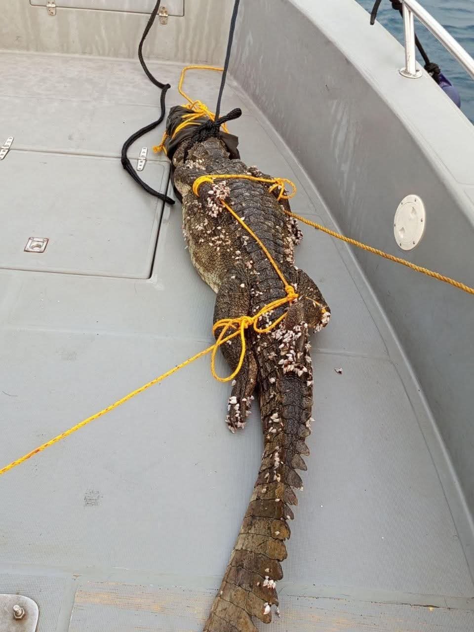 IMG-20251220-WA0012(1)