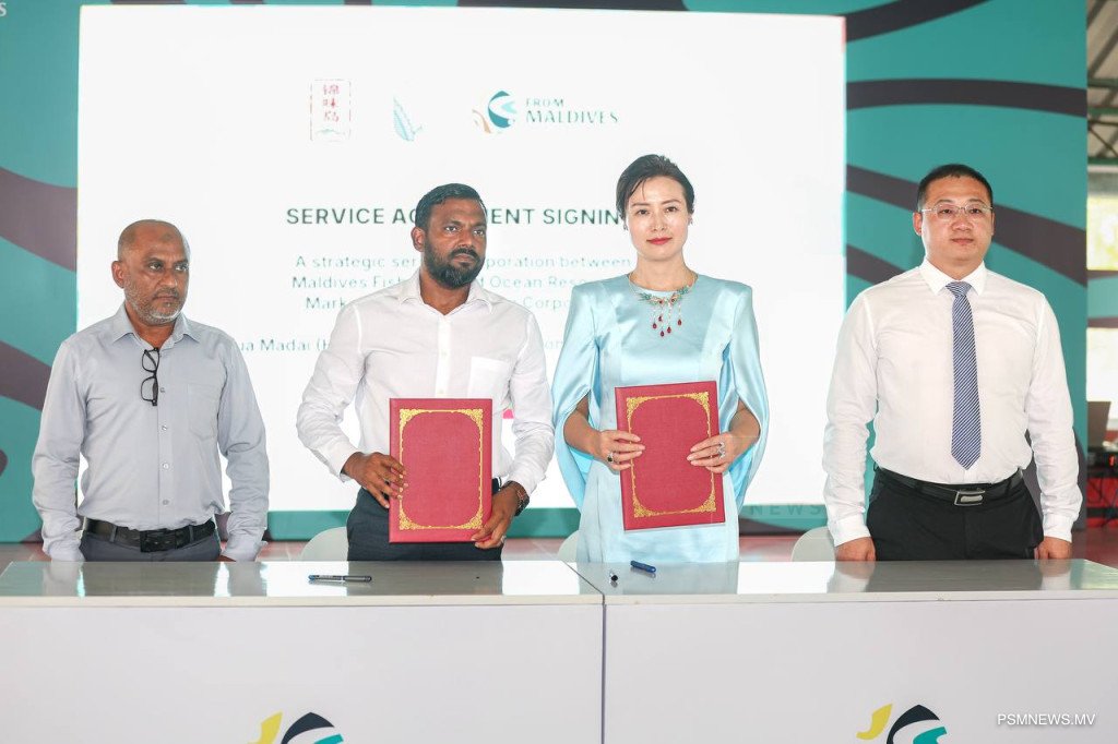 big_r8vvT3ikVfeUVDAaWywVTQoIK