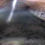 އީގަލް-44ގެ ވާހަކަ އަޑުއެހީމުތަ؟