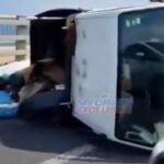 ކުނި ބަރުކޮށްގެން ބުރިޖުން ދަތުރުކުރި ޕިކަޕެއް ފުރޮޅާލައިފި