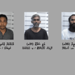 ސްކޭމްކޮށްގެން ފައިސާ ހޯދި މައްސަލަތަކަކާ ގުޅިގެން ތިންމީހުން ހައްޔަރުކޮށްފި