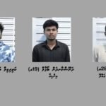 6 ކިލޯއަށްވުރެ ގިނަ މަސްތުވާތަކެތި ރާއްޖެއަށް އެތެރެކުރި ބަޔަކު ހައްޔަރުކޮށްފި