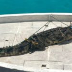 ފަޅުރަށަކަށް ދިޔަ ބަޔަކު ކިނބުލެއް ހިފައިފި