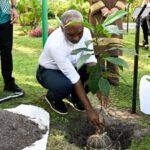 ތިމާވެށި ހިމާޔަތްކޮށް ރައްކާތެރިކުރުމަށް އަހަރަކު 7 މިލިއަން ރުފިޔާ ގްރީން ފަންޑުން ޚަރަދު ކުރަނީ