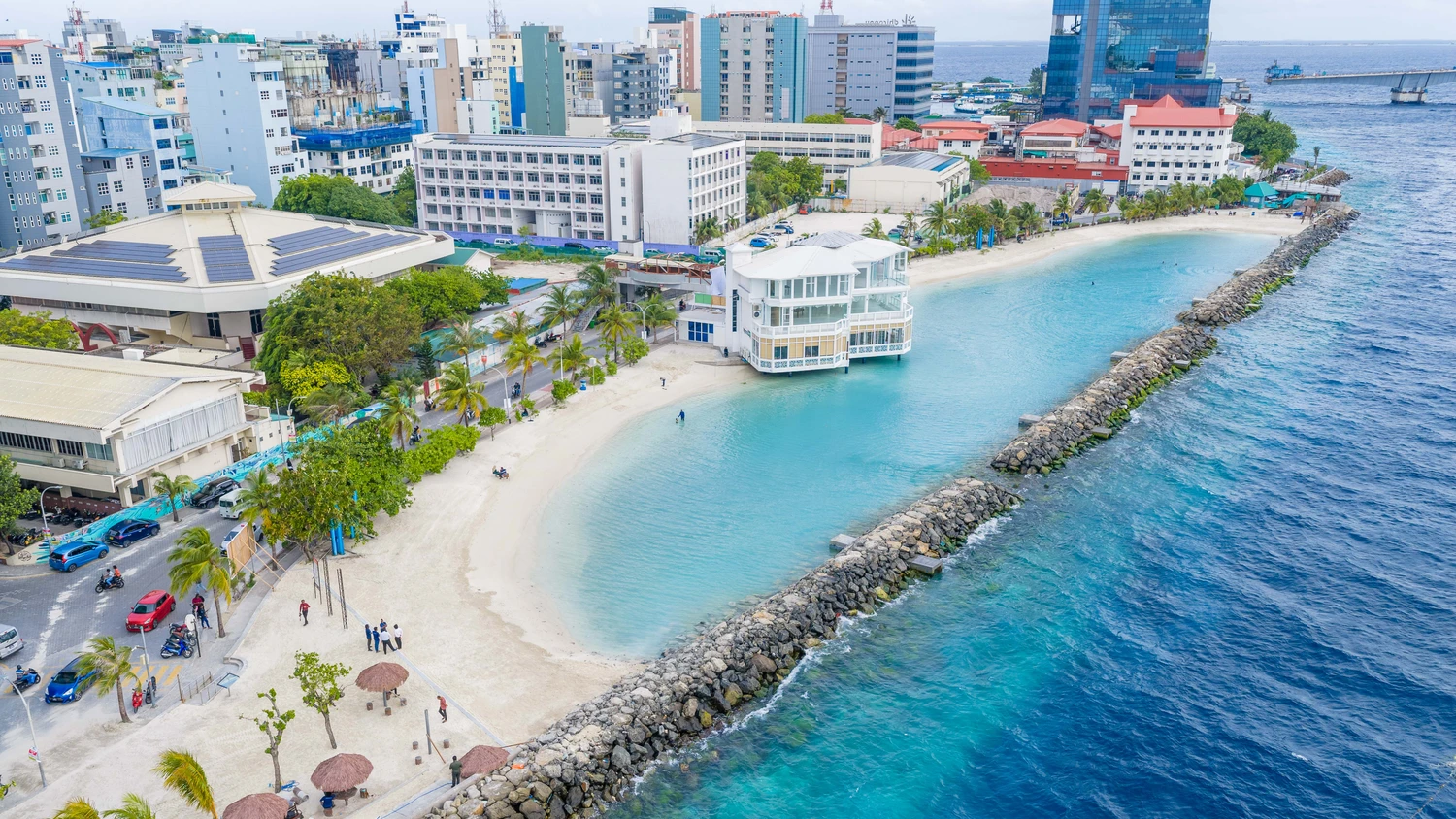 rasfannu-1781289745629